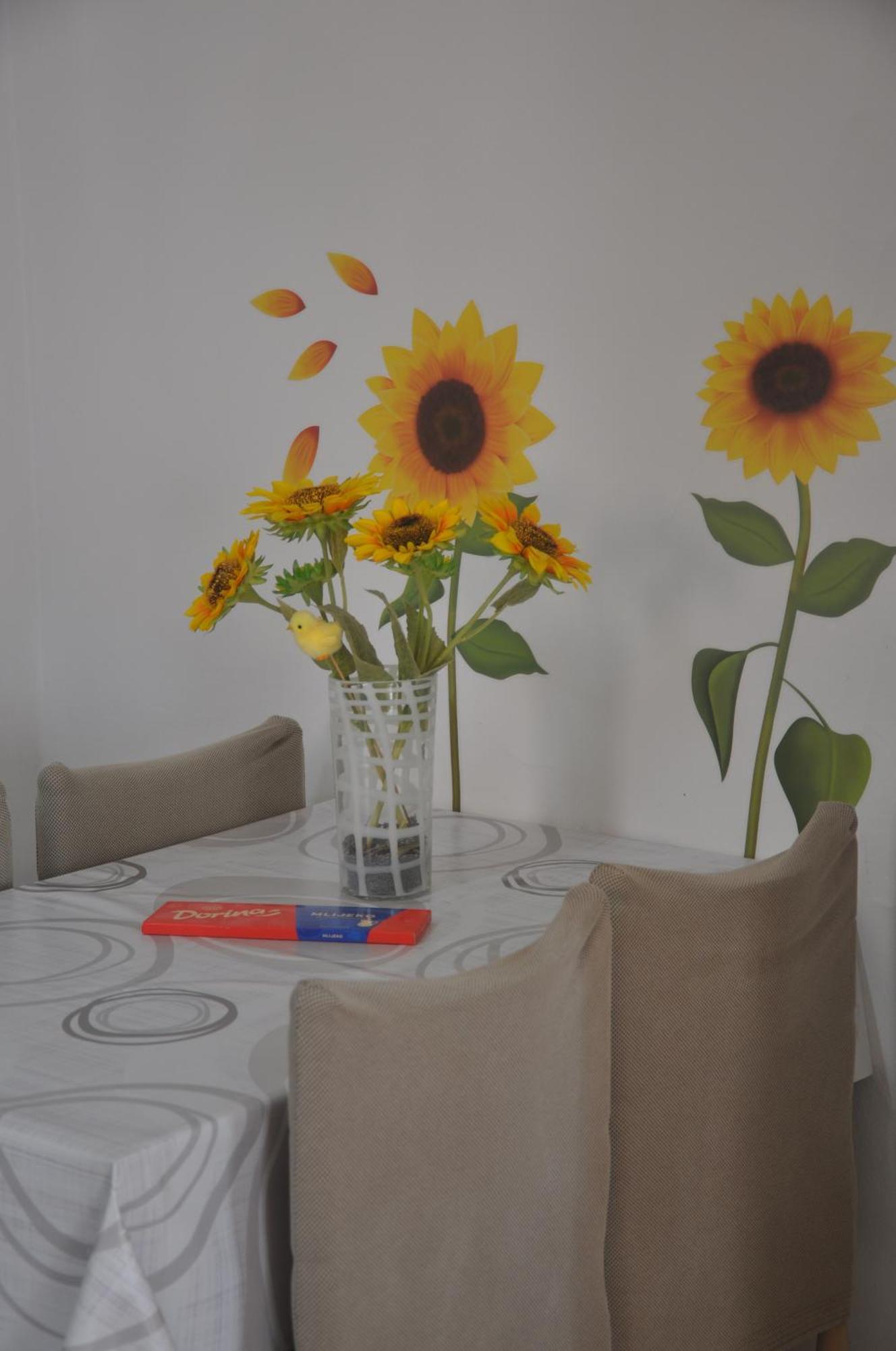 Apartman Mirna 로비니 외부 사진