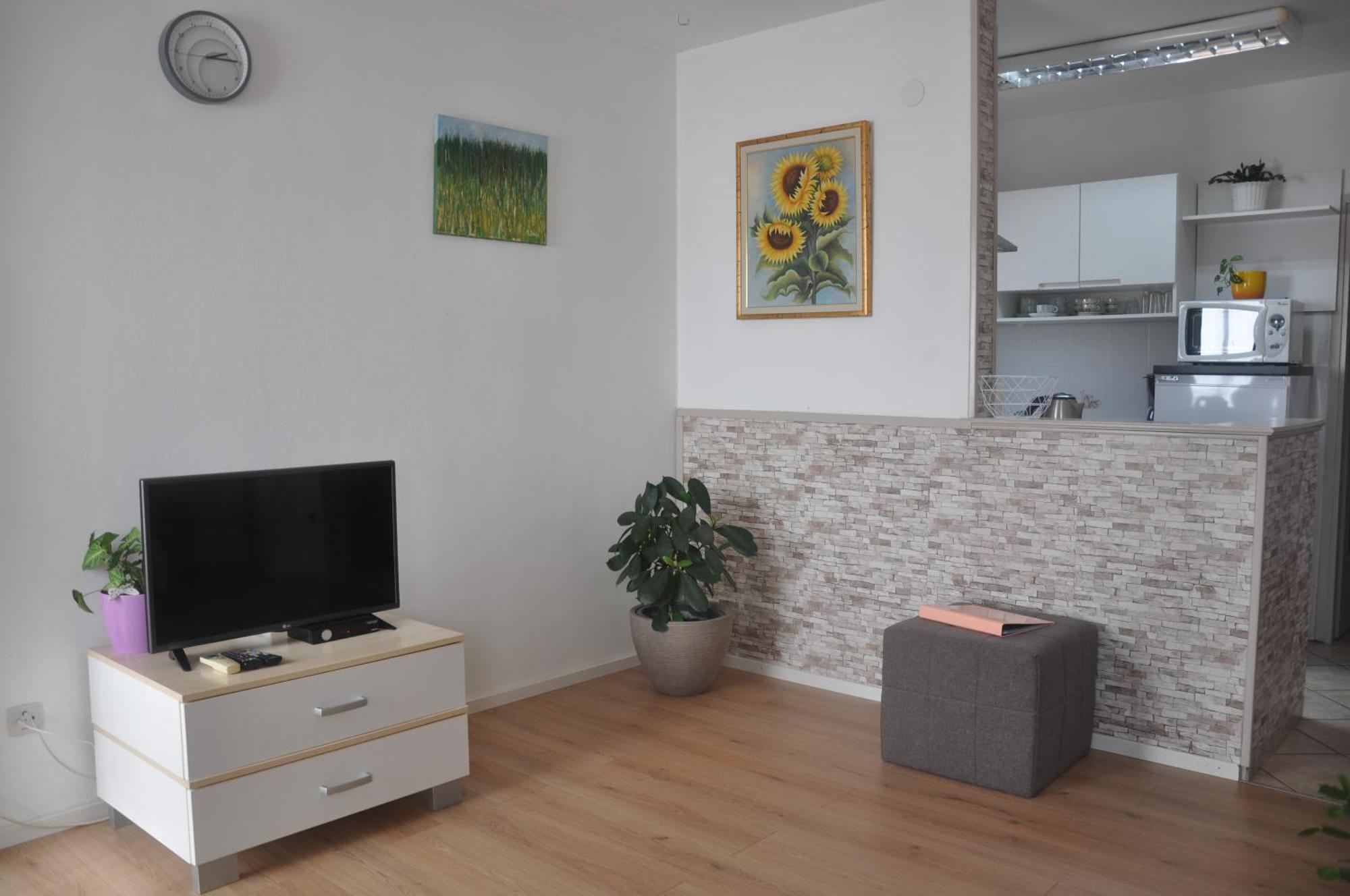 Apartman Mirna 로비니 외부 사진