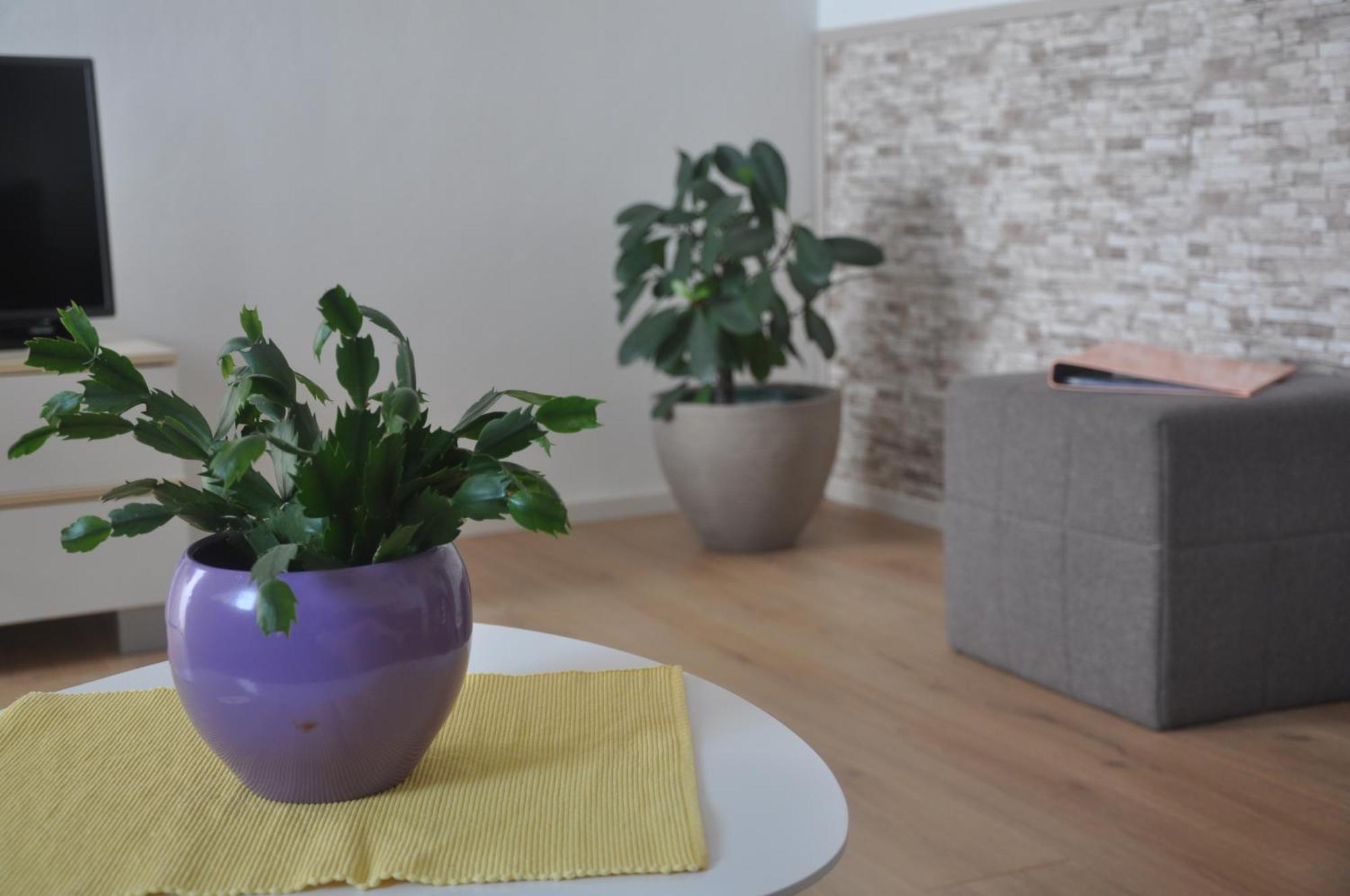 Apartman Mirna 로비니 외부 사진